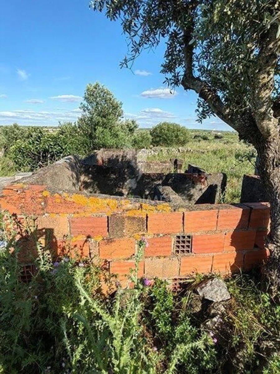 Quinta T2 para Venda em Reguengos de Monsaraz Foto 21