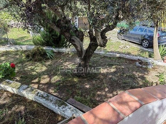 Quinta T2 para Venda em Reguengos de Monsaraz Foto 17