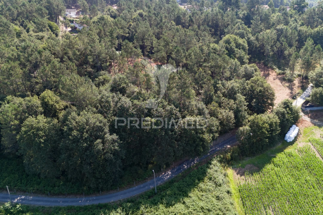 Terreno para Venda em Sabariz Foto 4