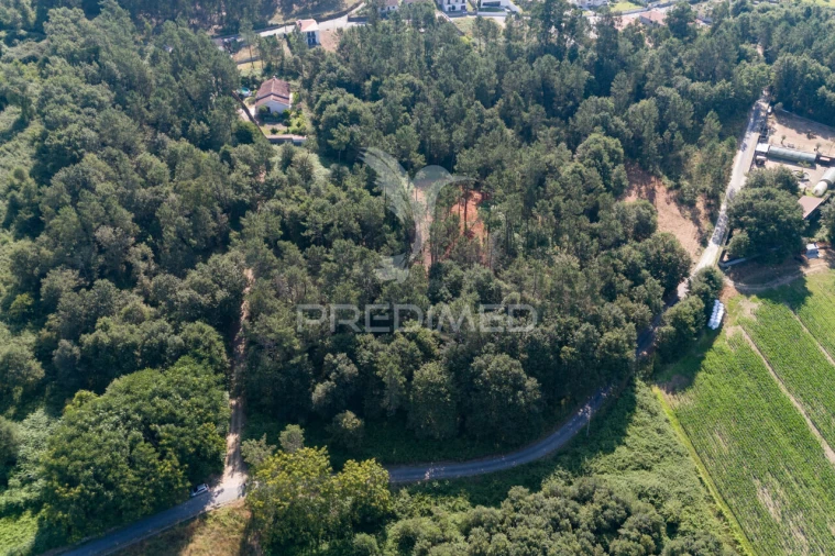 Terreno para Venda em Sabariz Foto 2