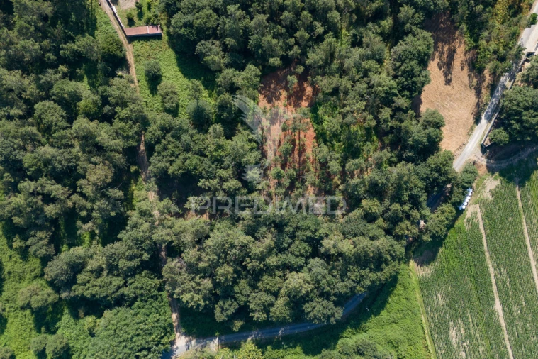 Terreno para Venda em Sabariz Foto 8