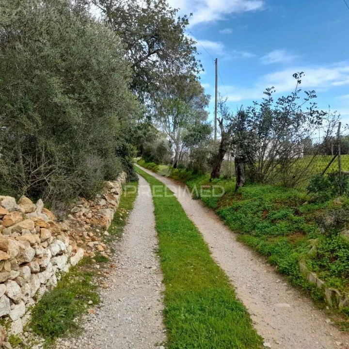 Terreno para Venda em Quelfes Foto 4