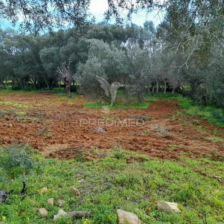 Terreno para Venda em Quelfes Foto 3