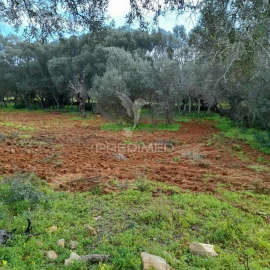 Terreno para Venda em Quelfes