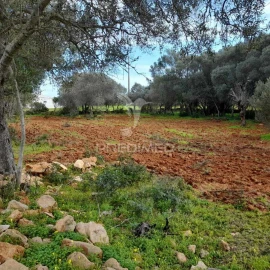 Terreno para Venda em Quelfes