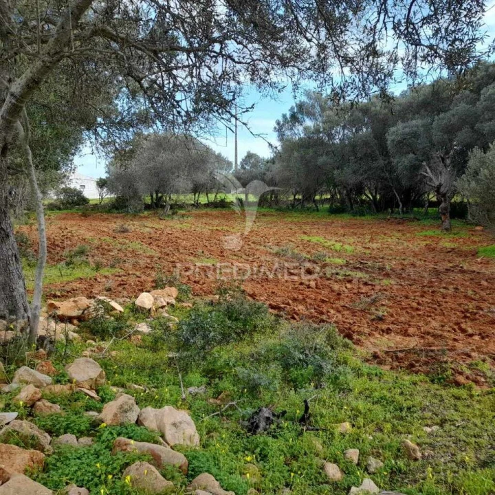 Terreno para Venda em Quelfes Foto 1