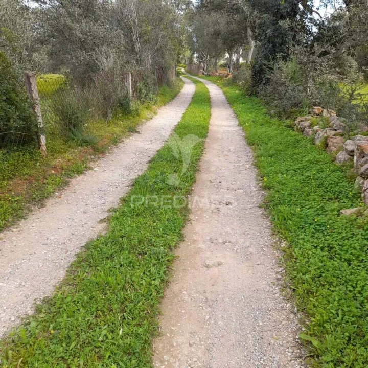 Terreno para Venda em Quelfes Foto 2