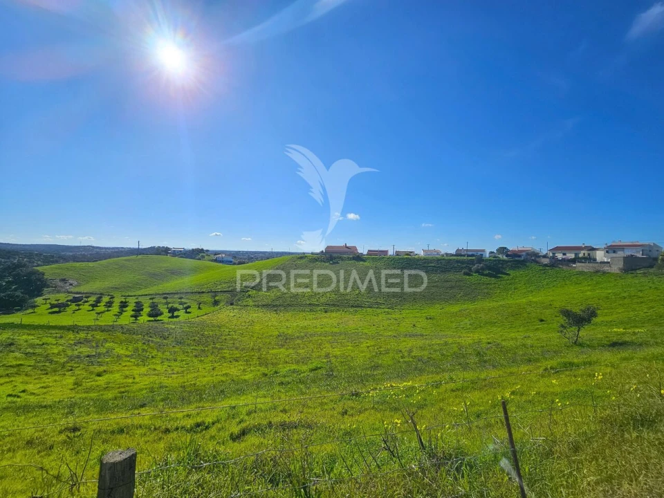 Terreno para Venda em Ourique Foto 11