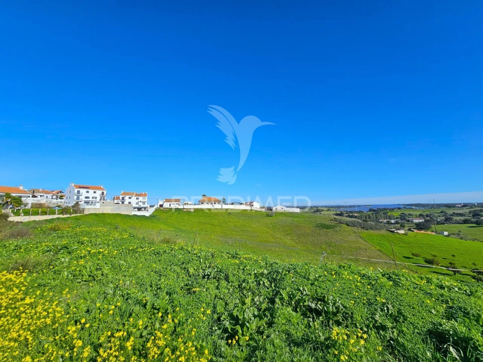 Terreno para Venda em Ourique Foto 3