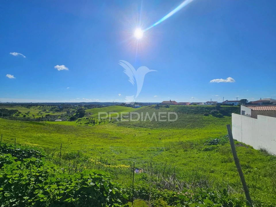 Terreno para Venda em Ourique Foto 6