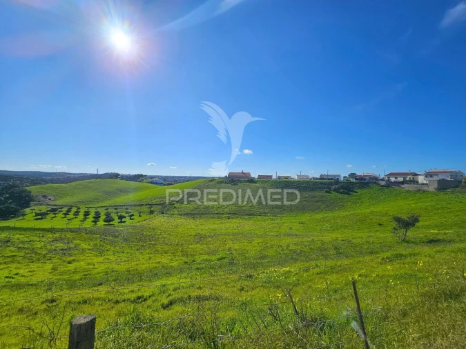 Terreno para Venda em Ourique Foto 11