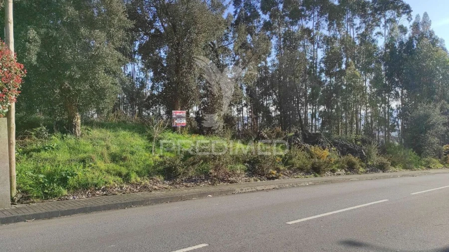 Terreno para Venda em Lousado Foto 7