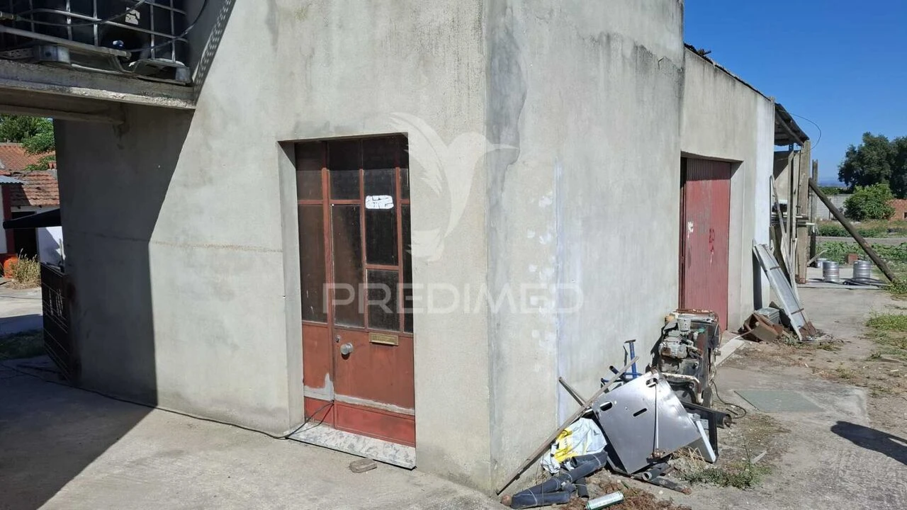 Armazém para Venda em Fazendas de Almeirim Foto 9
