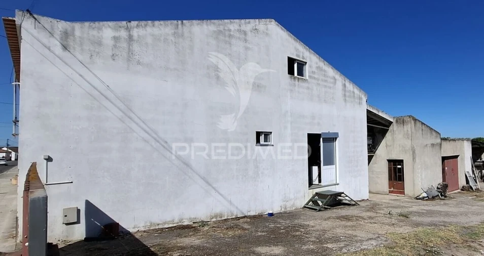 Armazém para Venda em Fazendas de Almeirim Foto 13