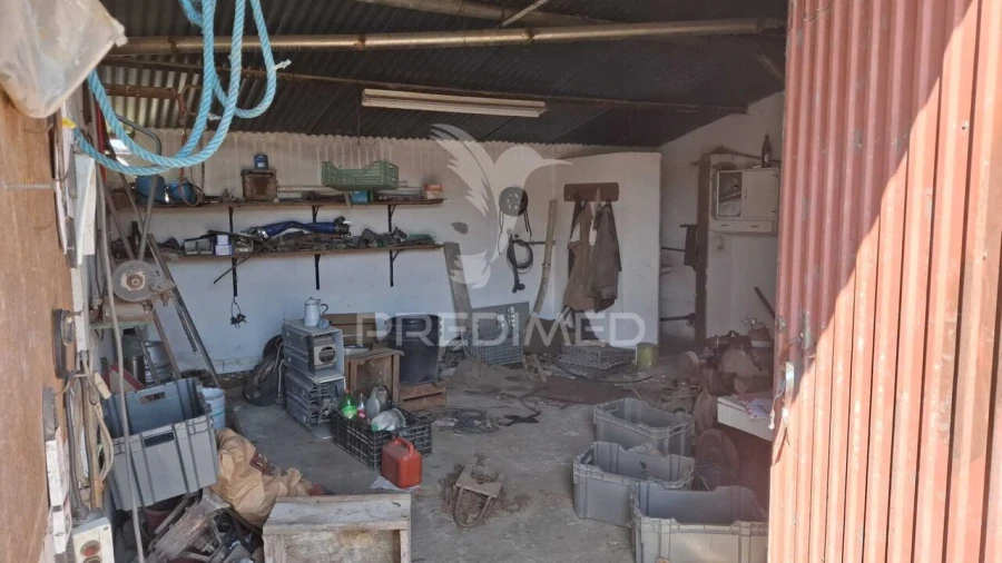 Armazém para Venda em Fazendas de Almeirim Foto 11