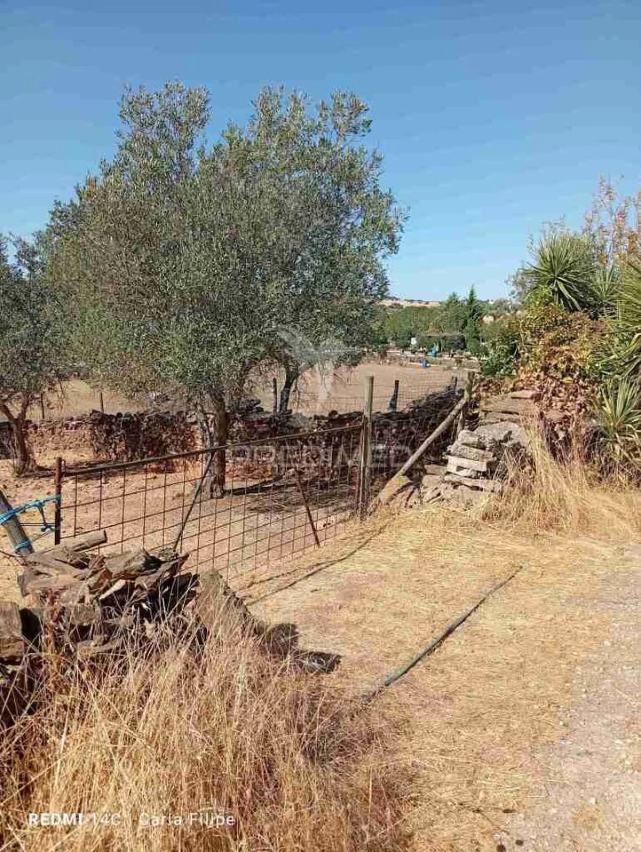 Terreno para Venda em Ciladas Foto 9