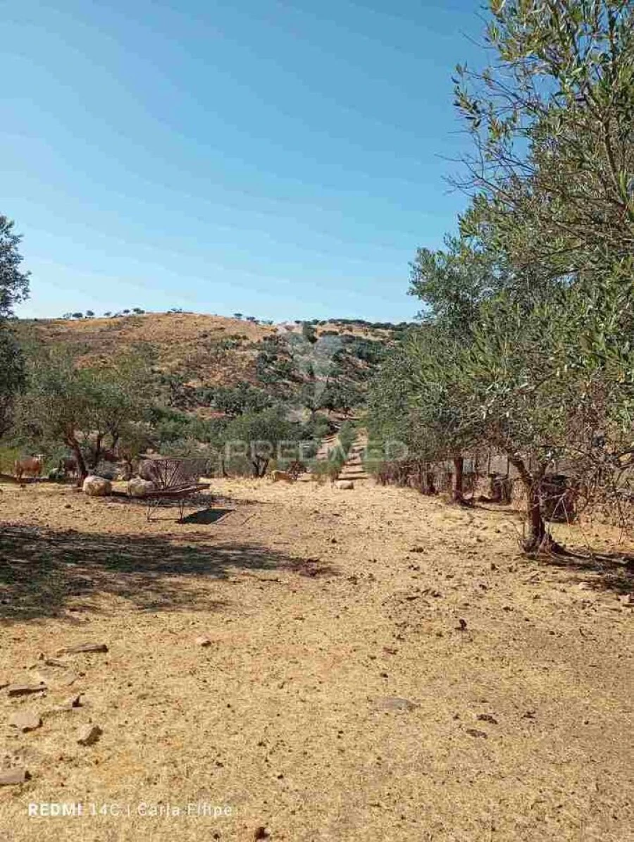 Terreno para Venda em Ciladas Foto 4