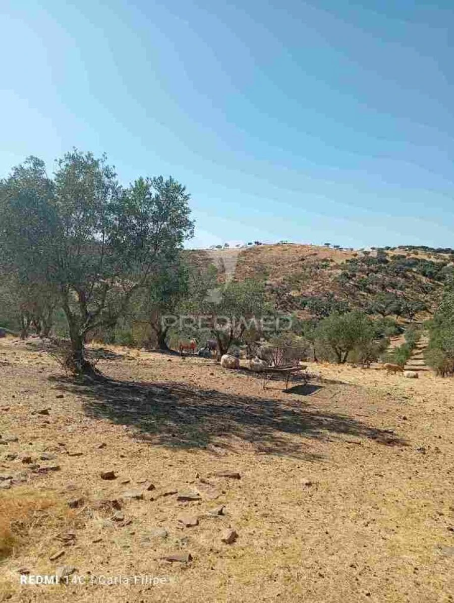 Terreno para Venda em Ciladas Foto 5