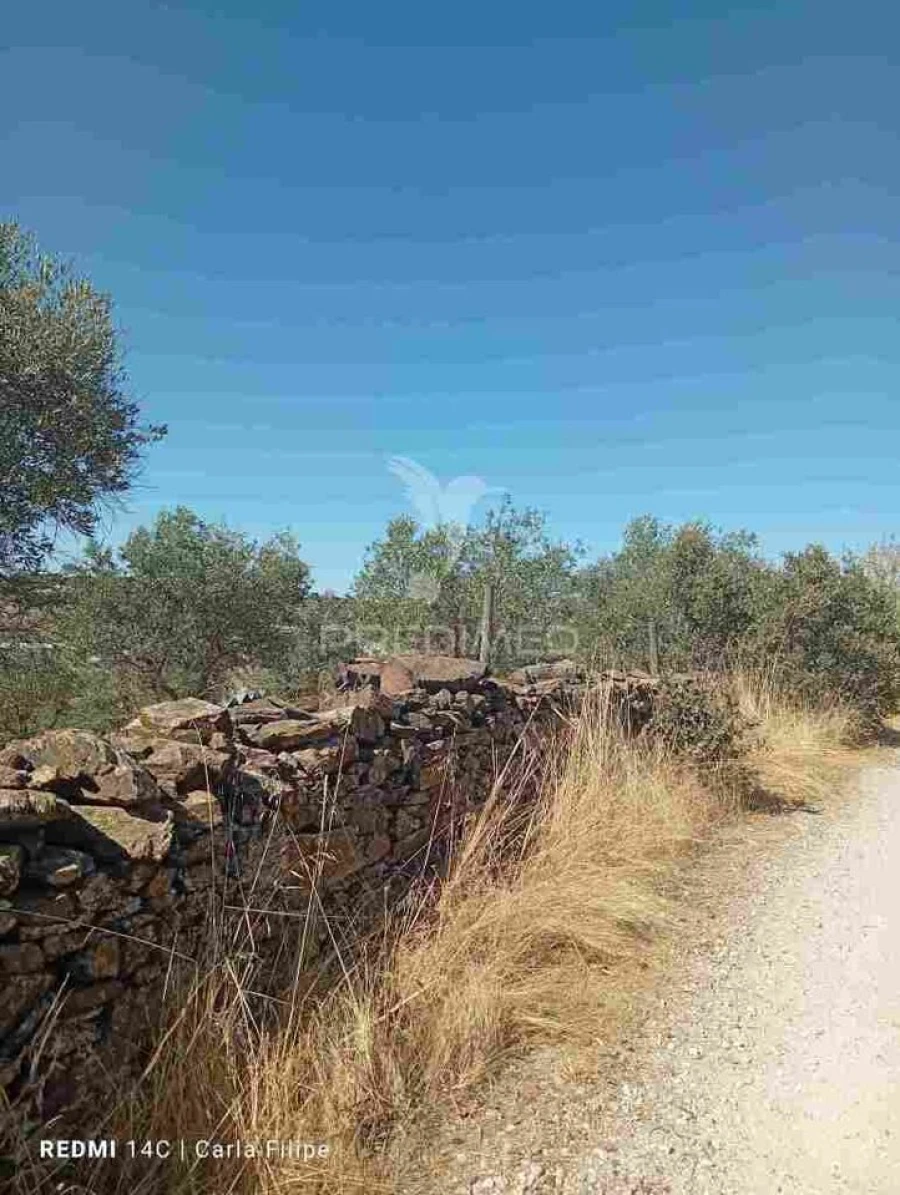 Terreno para Venda em Ciladas Foto 12