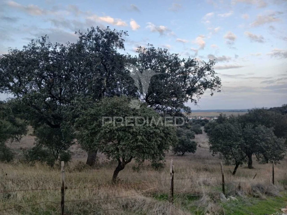 Terreno para Venda em Capelins (Santo Antonio) Foto 4
