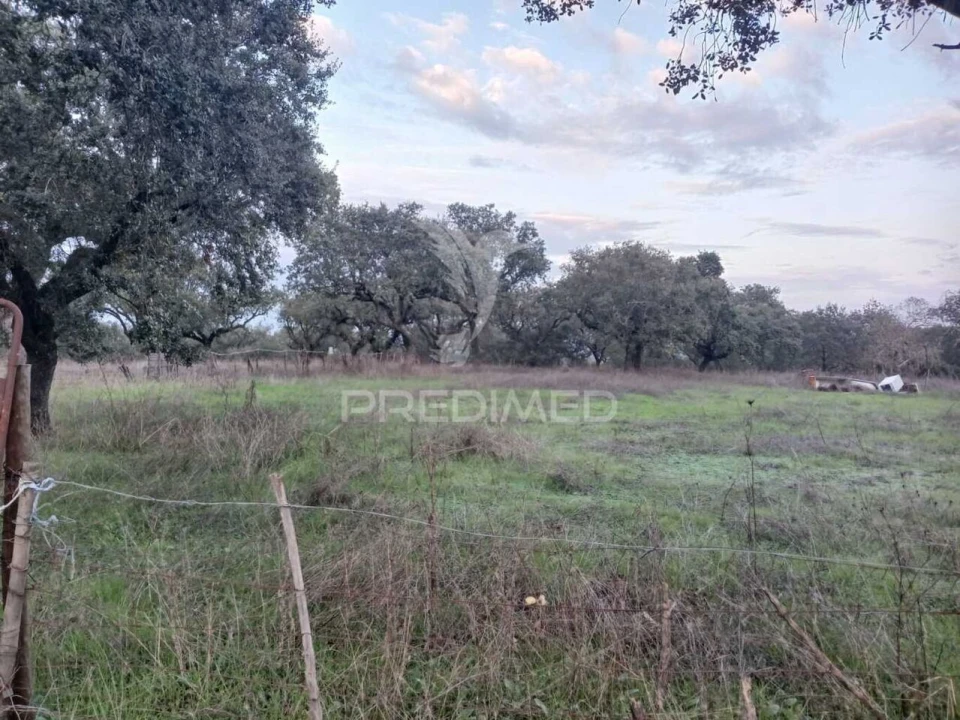 Terreno para Venda em Capelins (Santo Antonio) Foto 17