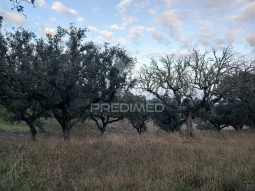 Terreno para Venda em Capelins (Santo Antonio)