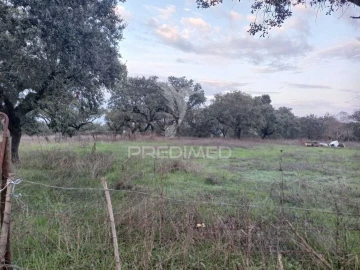 Terreno para Venda em Capelins (Santo Antonio)