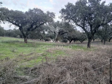 Terreno para Venda em Capelins (Santo Antonio)