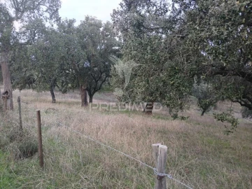 Terreno para Venda em Capelins (Santo Antonio)