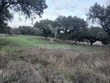 Terreno para Venda em Capelins (Santo Antonio)