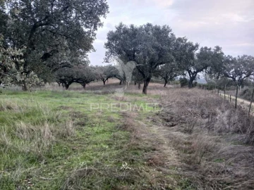 Terreno para Venda em Capelins (Santo Antonio)