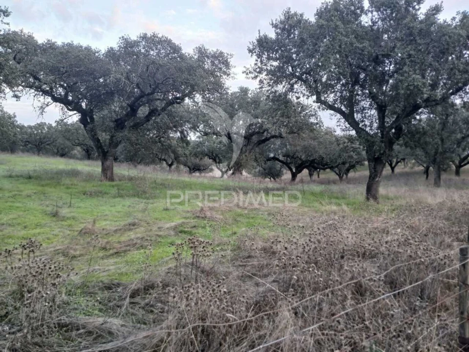 Terreno para Venda em Capelins (Santo Antonio) Foto 13