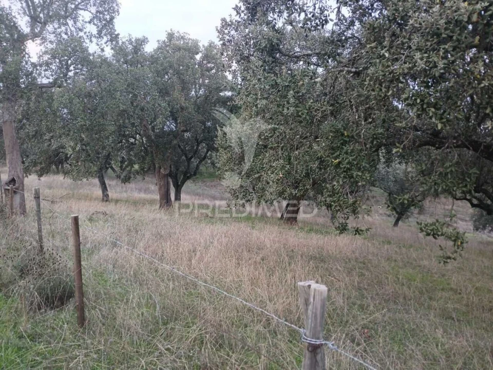 Terreno para Venda em Capelins (Santo Antonio) Foto 6