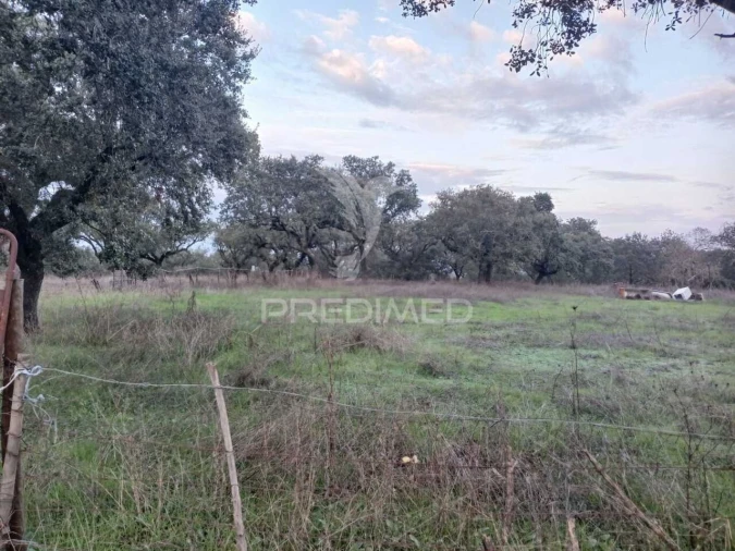 Terreno para Venda em Capelins (Santo Antonio) Foto 17
