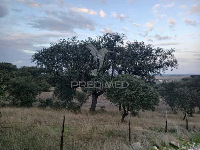 Terreno para Venda em Capelins (Santo Antonio) Foto 5