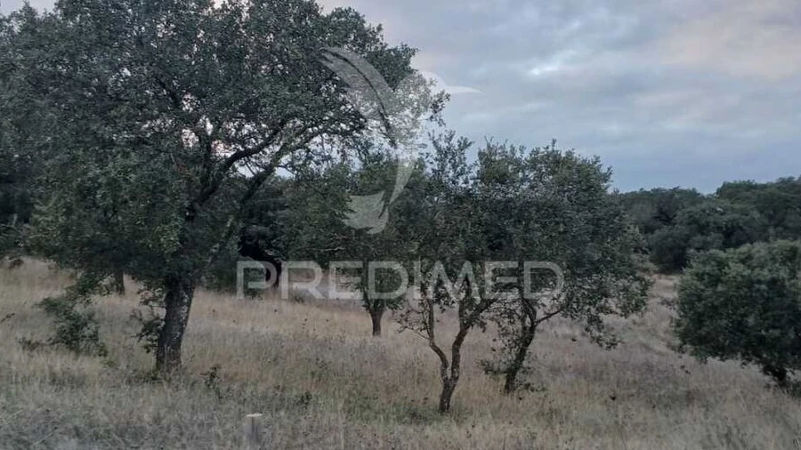 Terreno para Venda em Capelins (Santo Antonio)