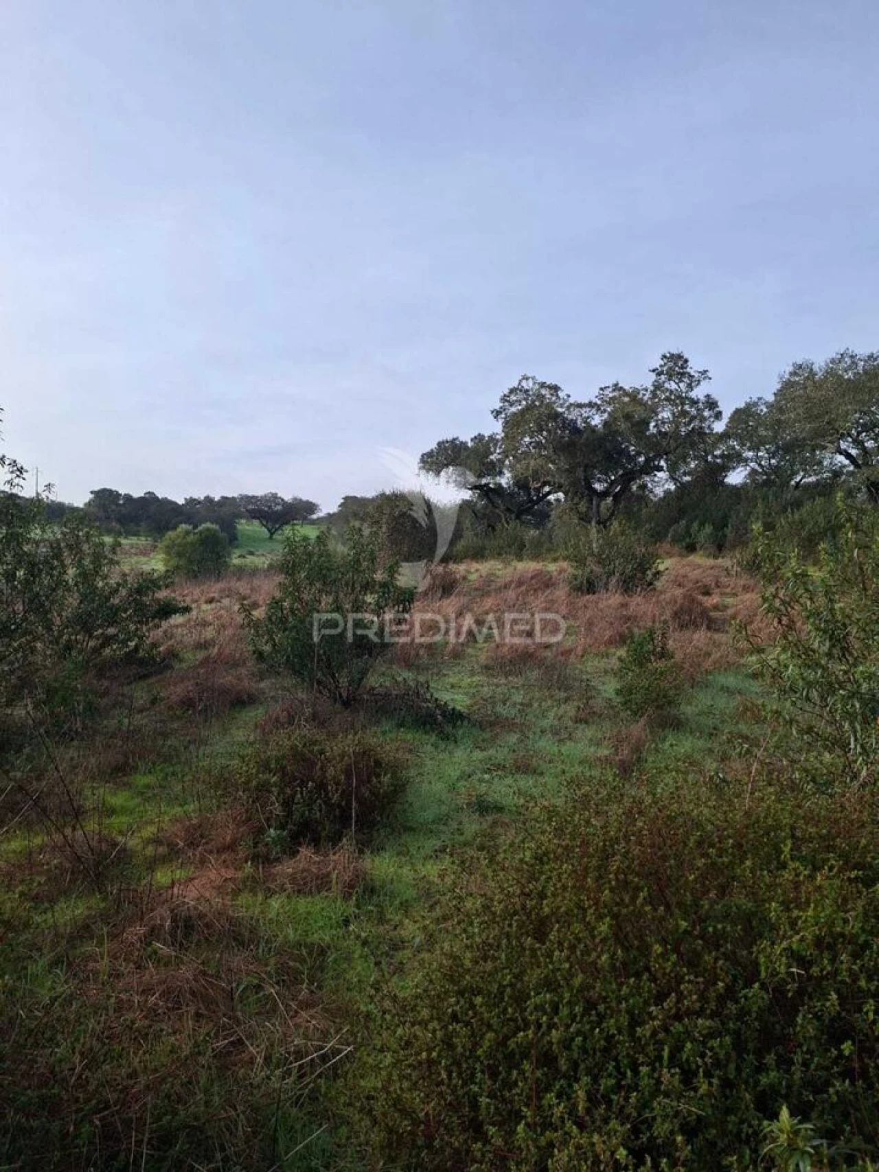 Terreno para Venda em Nossa Senhora da Conceição, São Brás dos Matos, Juromenha Foto 26