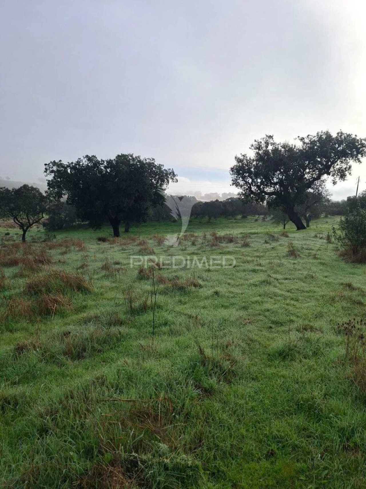 Terreno para Venda em Nossa Senhora da Conceição, São Brás dos Matos, Juromenha Foto 25
