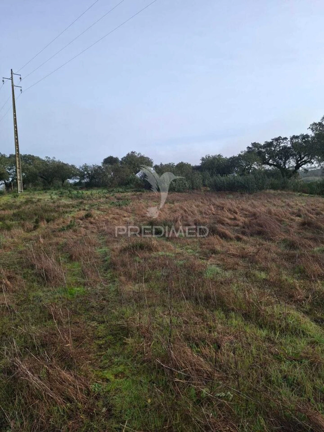 Terreno para Venda em Nossa Senhora da Conceição, São Brás dos Matos, Juromenha Foto 21