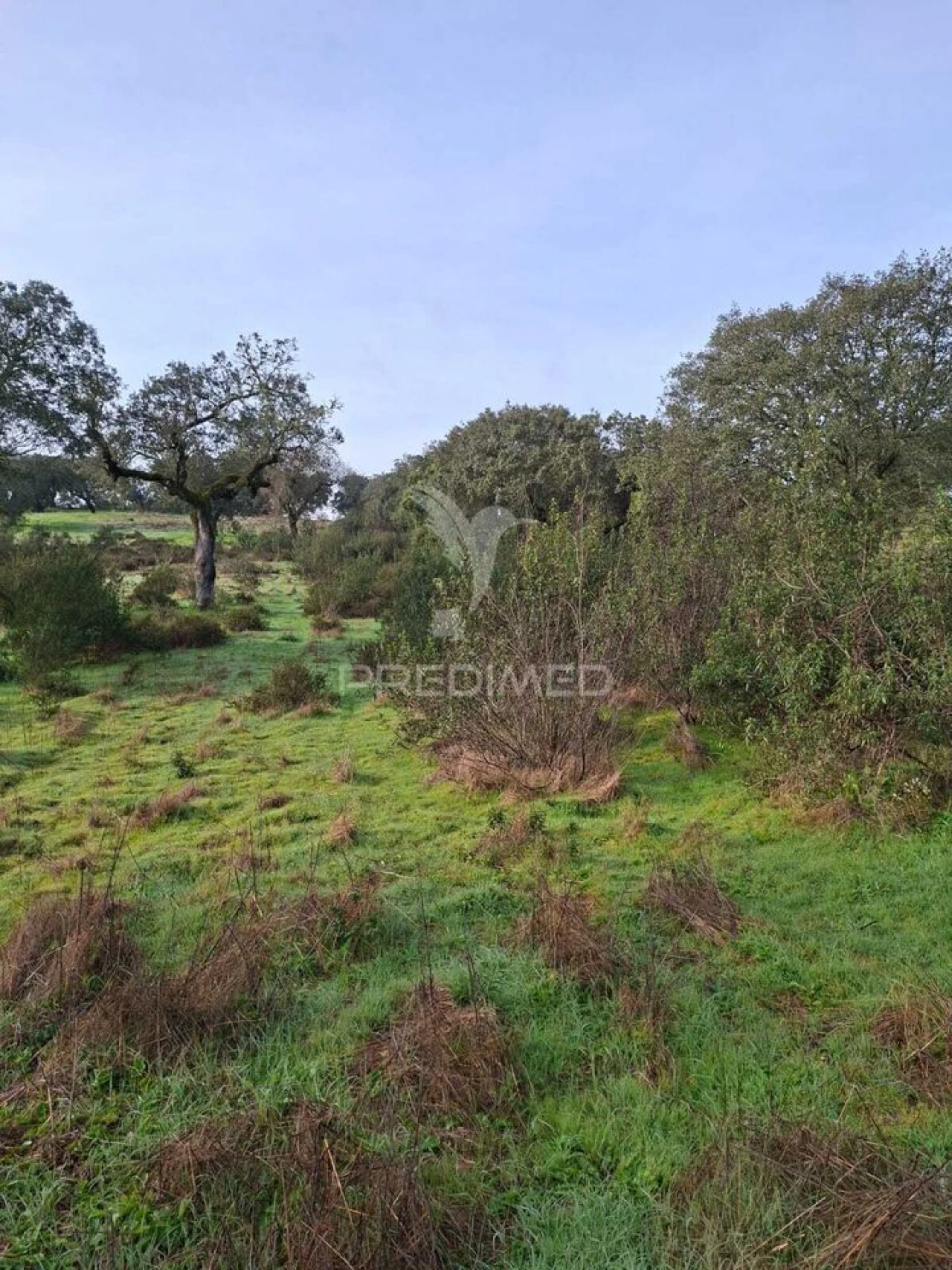 Terreno para Venda em Nossa Senhora da Conceição, São Brás dos Matos, Juromenha Foto 16
