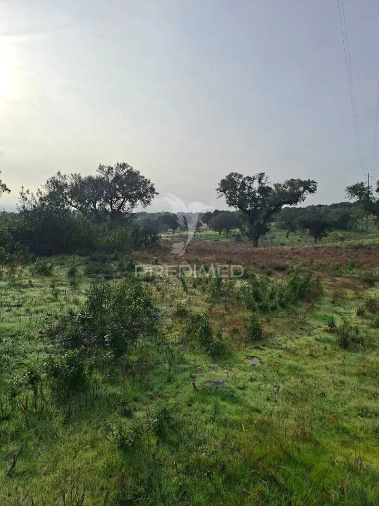 Terreno para Venda em Nossa Senhora da Conceição, São Brás dos Matos, Juromenha Foto 9