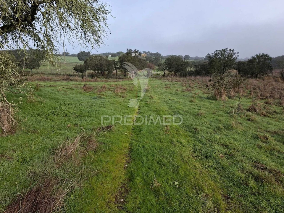 Terreno para Venda em Nossa Senhora da Conceição, São Brás dos Matos, Juromenha Foto 27