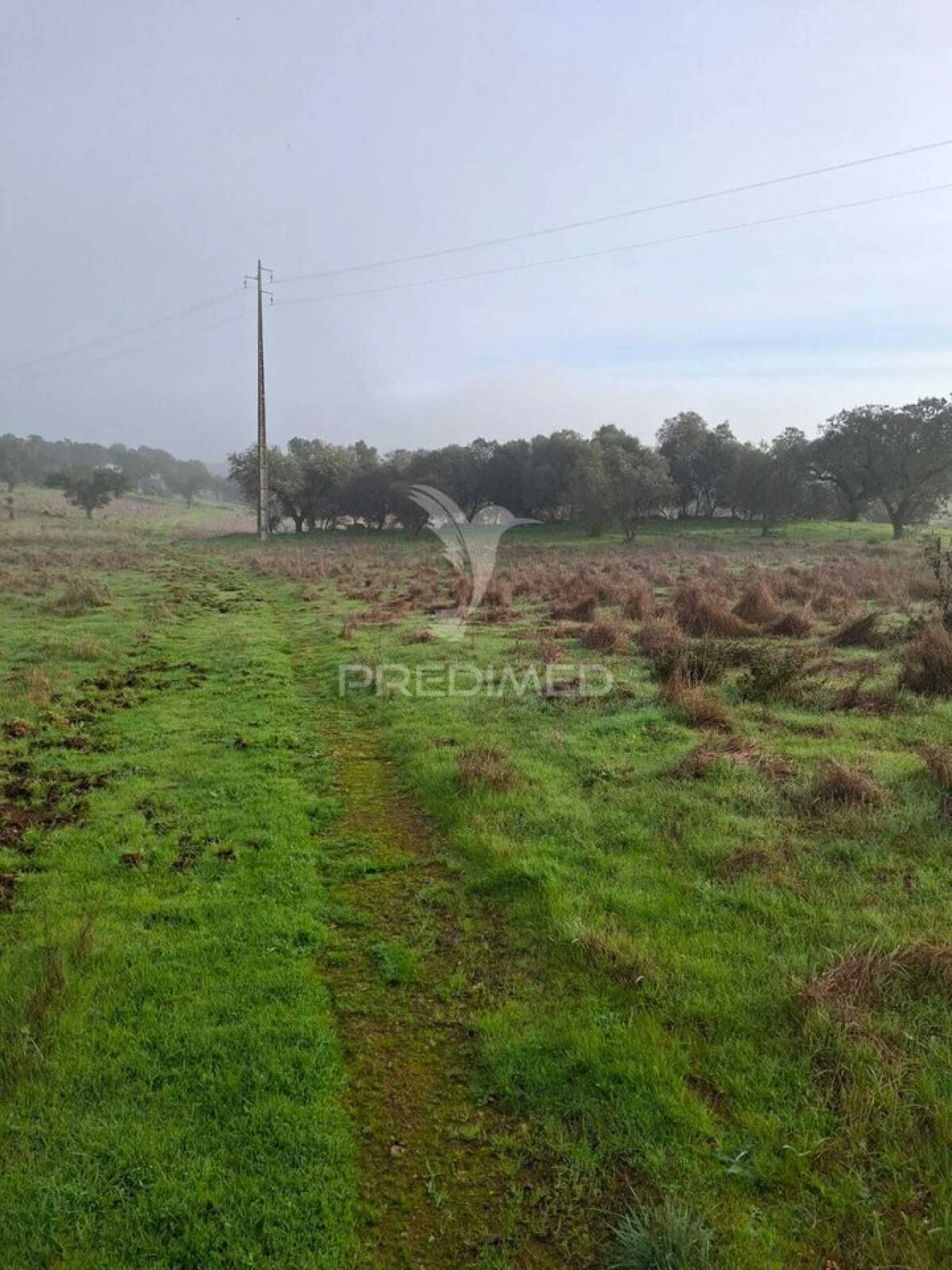 Terreno para Venda em Nossa Senhora da Conceição, São Brás dos Matos, Juromenha Foto 22