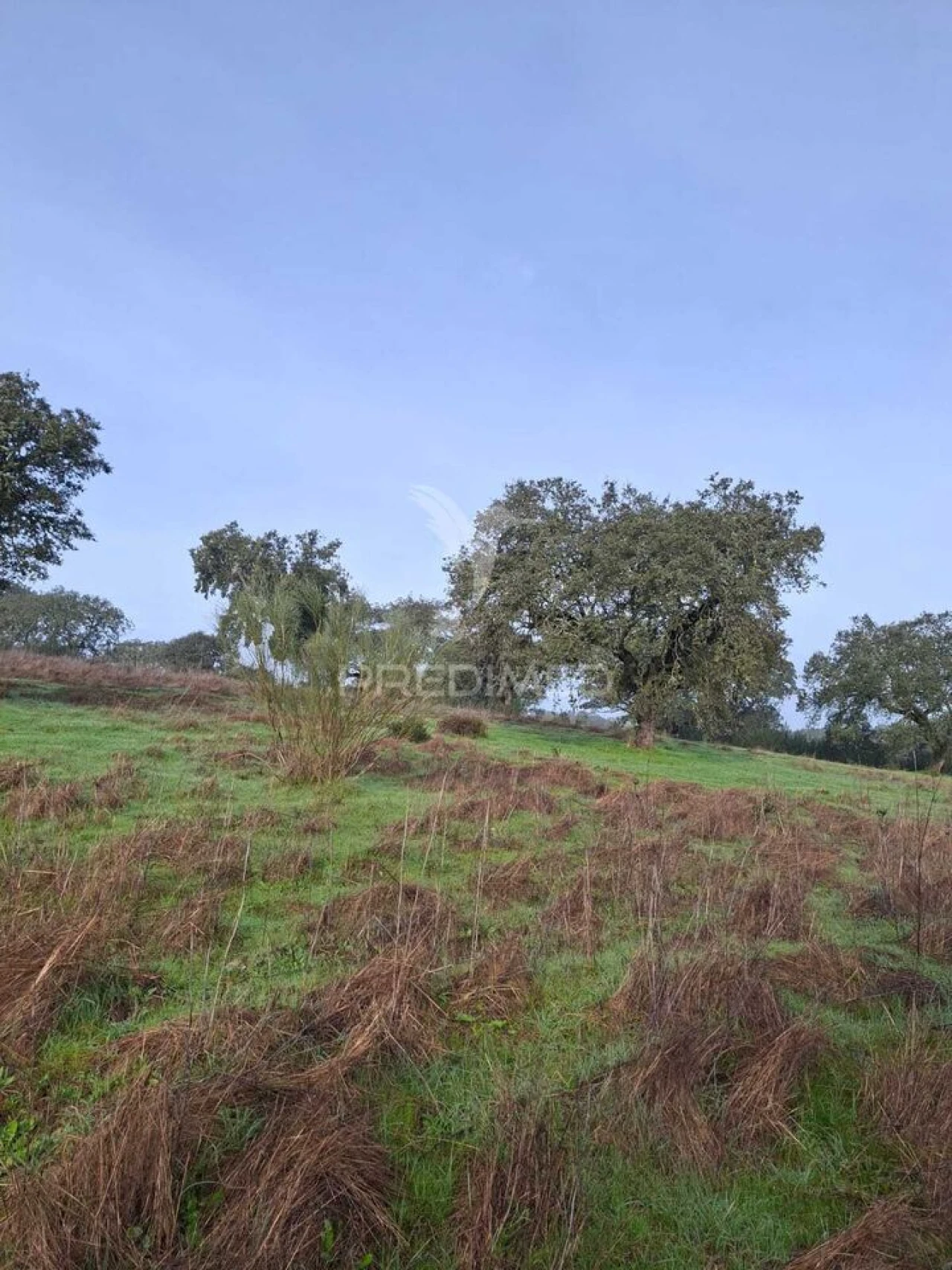 Terreno para Venda em Nossa Senhora da Conceição, São Brás dos Matos, Juromenha Foto 24