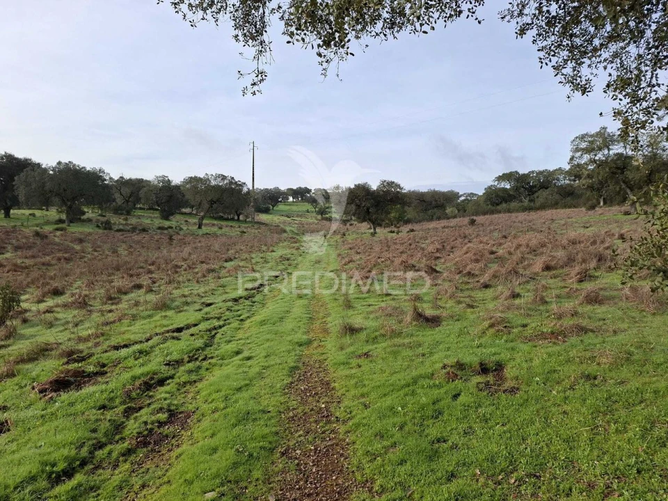 Terreno para Venda em Nossa Senhora da Conceição, São Brás dos Matos, Juromenha Foto 17