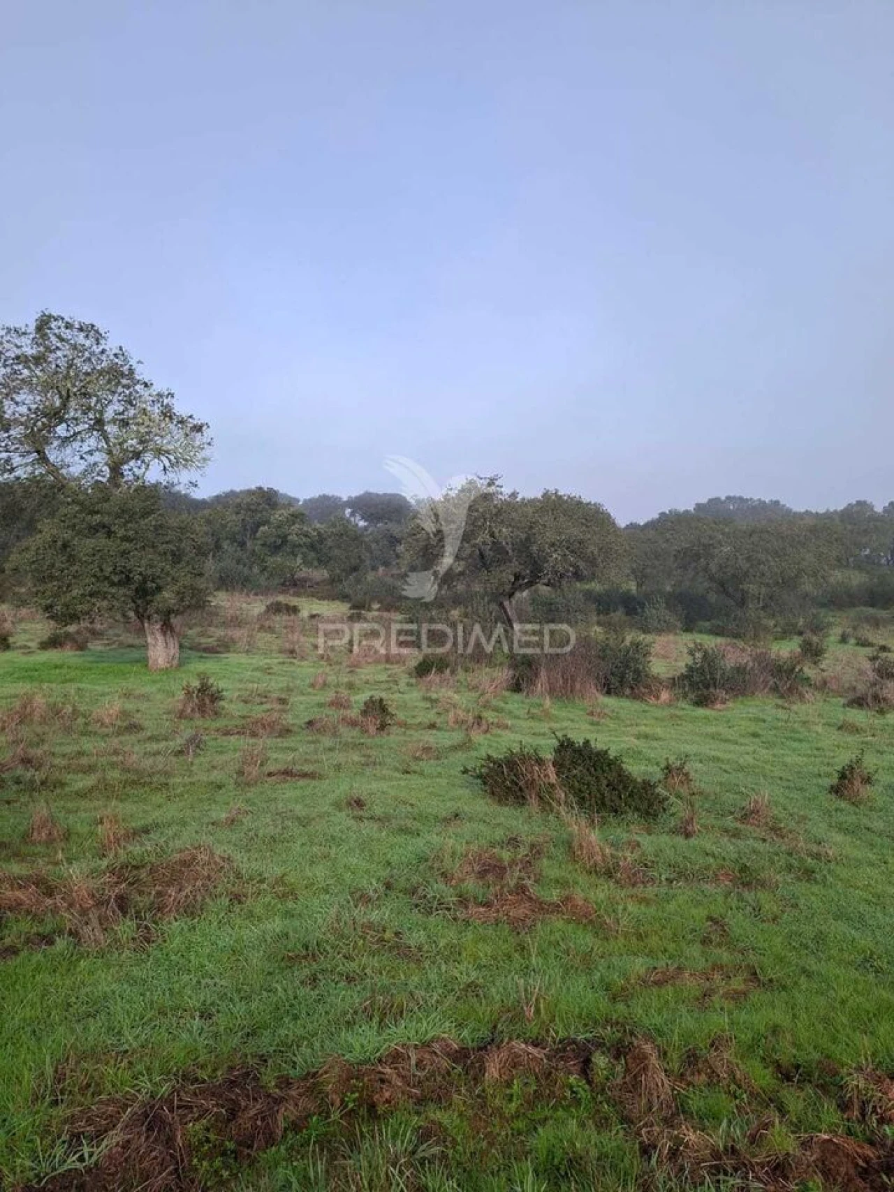 Terreno para Venda em Nossa Senhora da Conceição, São Brás dos Matos, Juromenha Foto 18