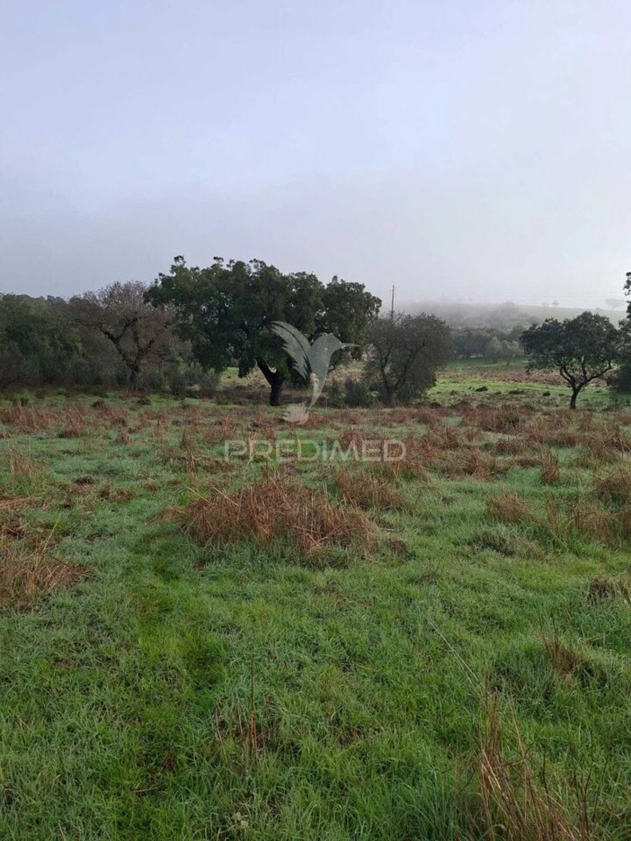 Terreno para Venda em Nossa Senhora da Conceição, São Brás dos Matos, Juromenha Foto 5