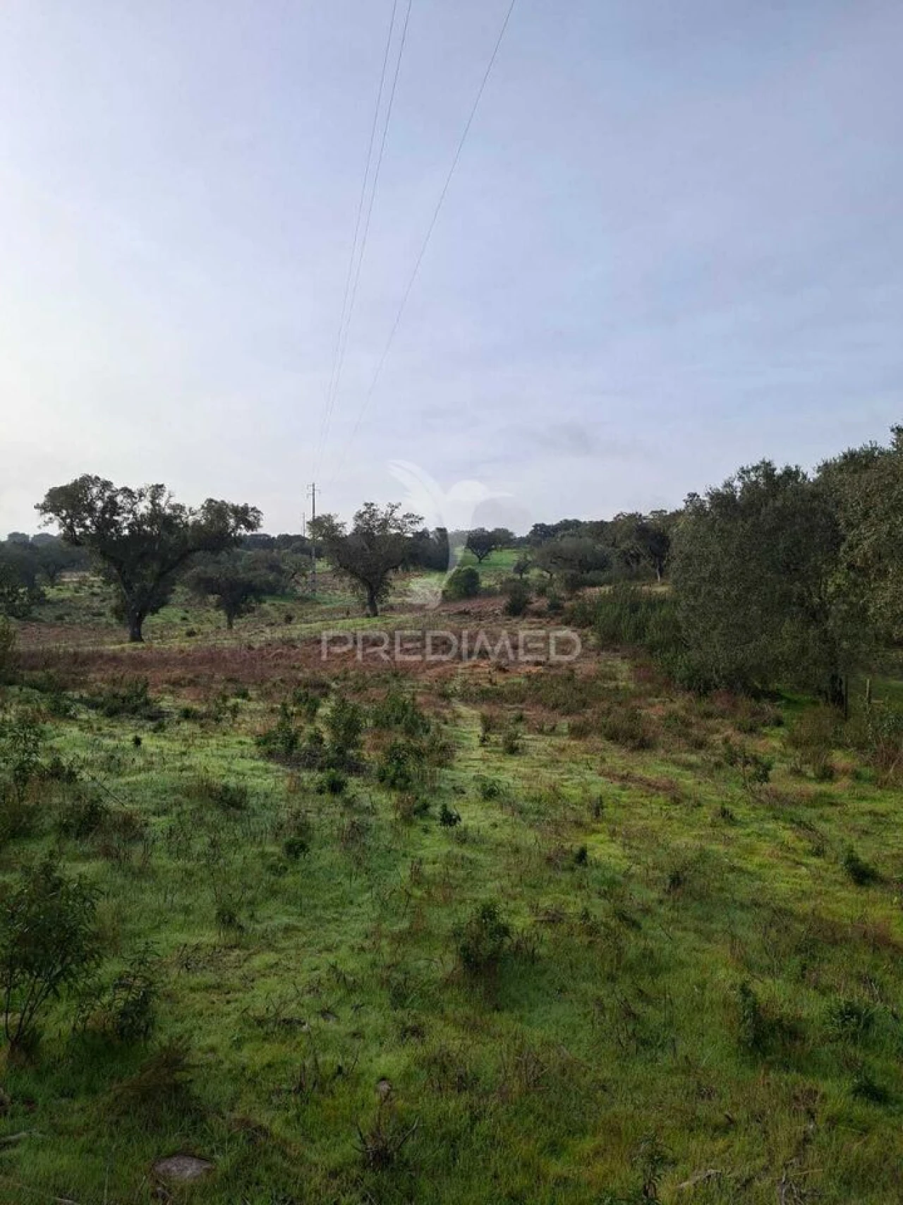 Terreno para Venda em Nossa Senhora da Conceição, São Brás dos Matos, Juromenha Foto 23