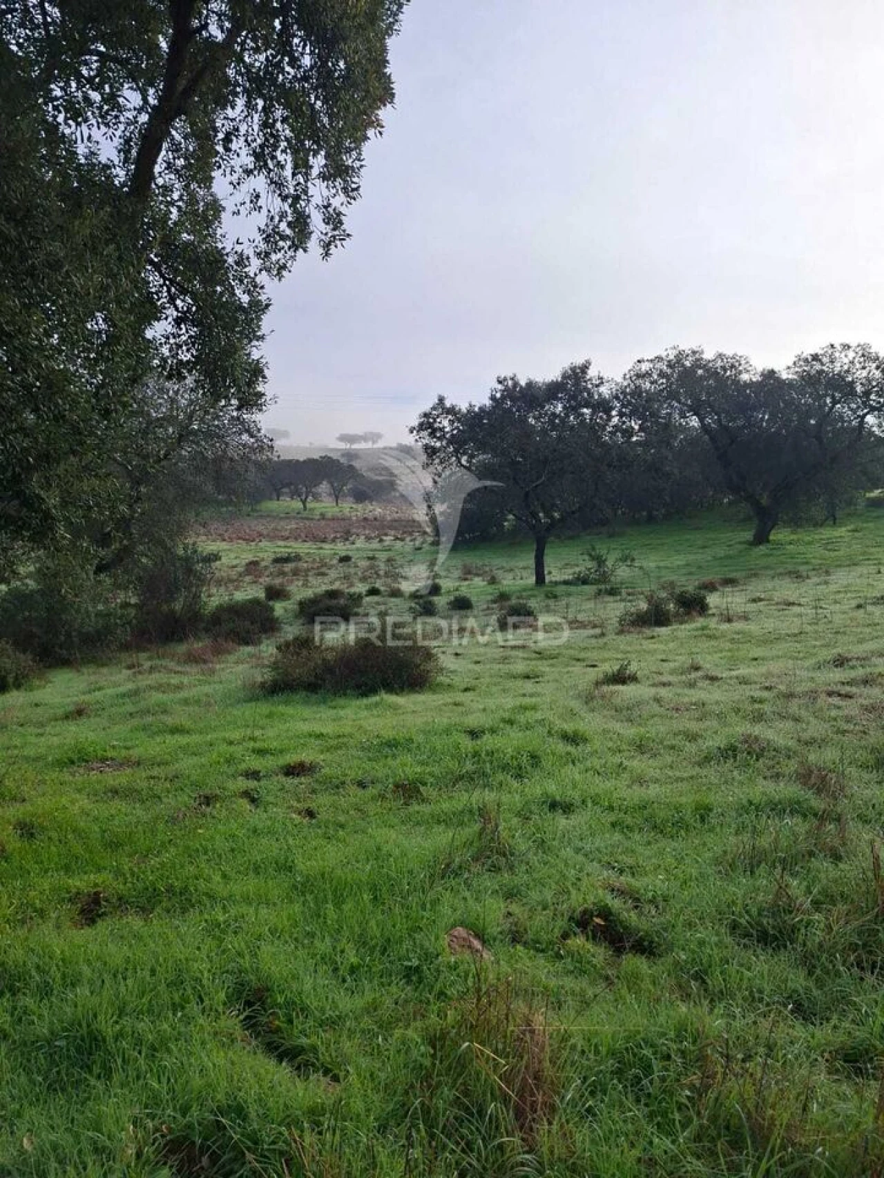 Terreno para Venda em Nossa Senhora da Conceição, São Brás dos Matos, Juromenha Foto 11