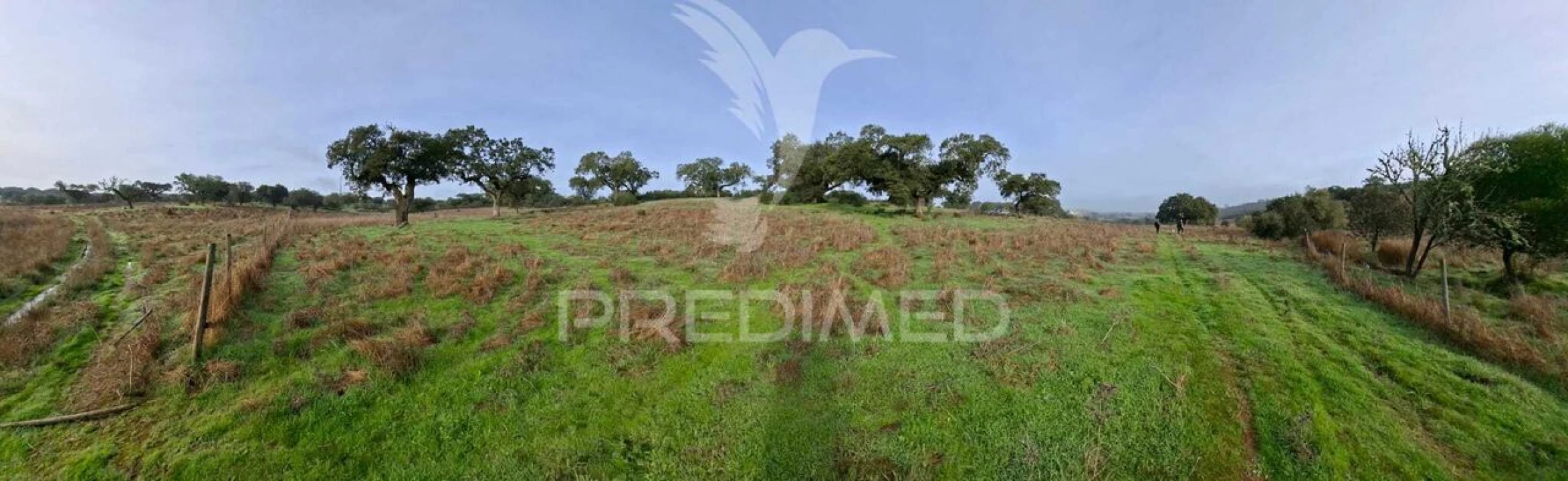 Terreno para Venda em Nossa Senhora da Conceição, São Brás dos Matos, Juromenha Foto 2